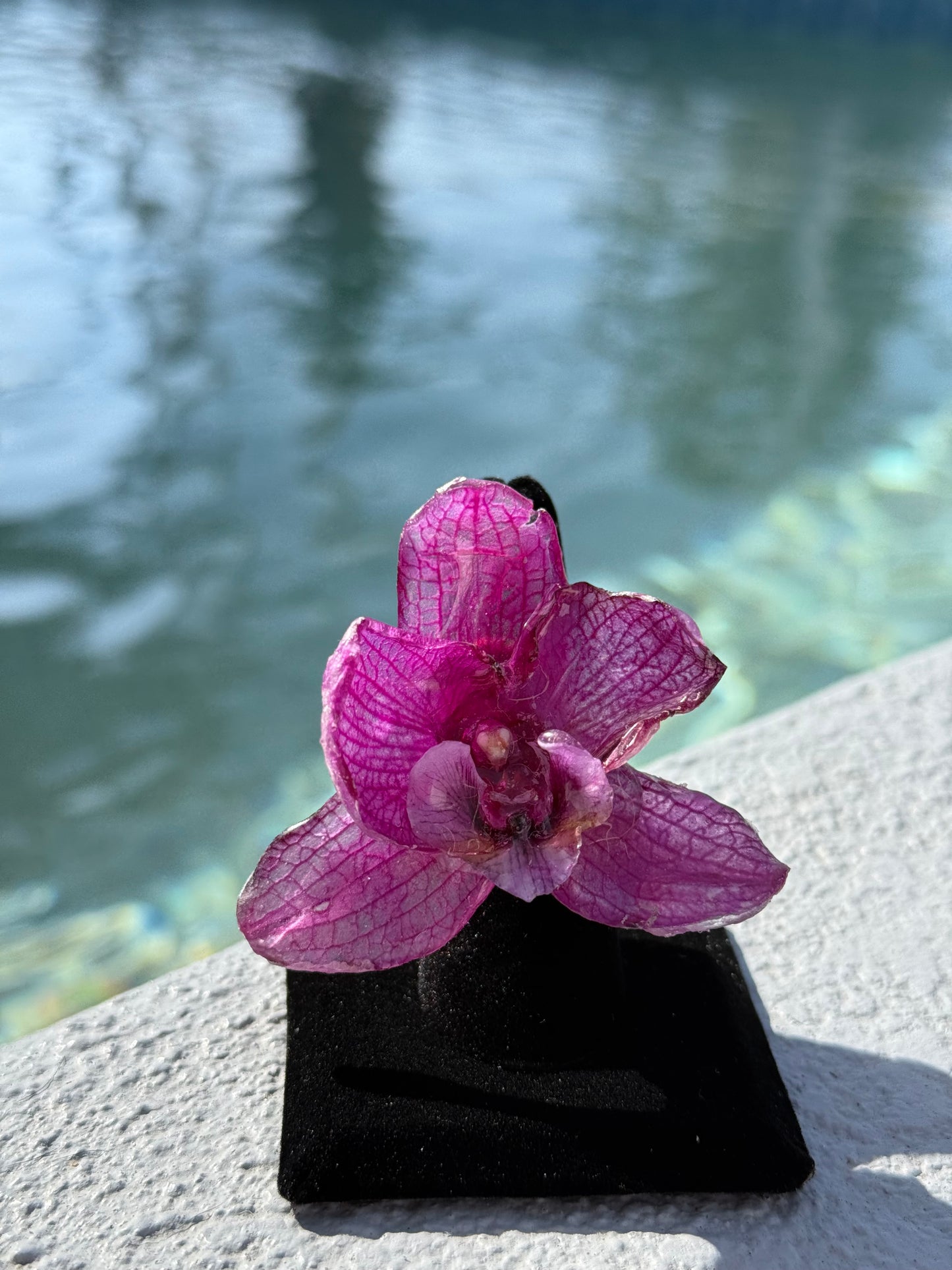 Purple Orchid.