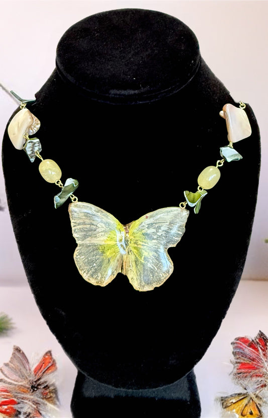 Coastal Mariposa