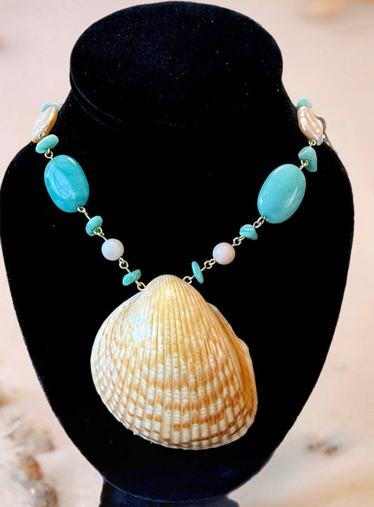 Large Sea-Shell