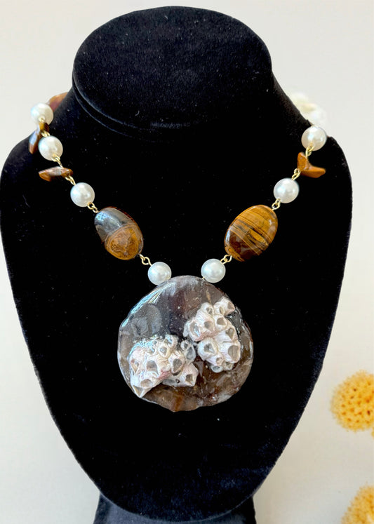 Barnacle Coral