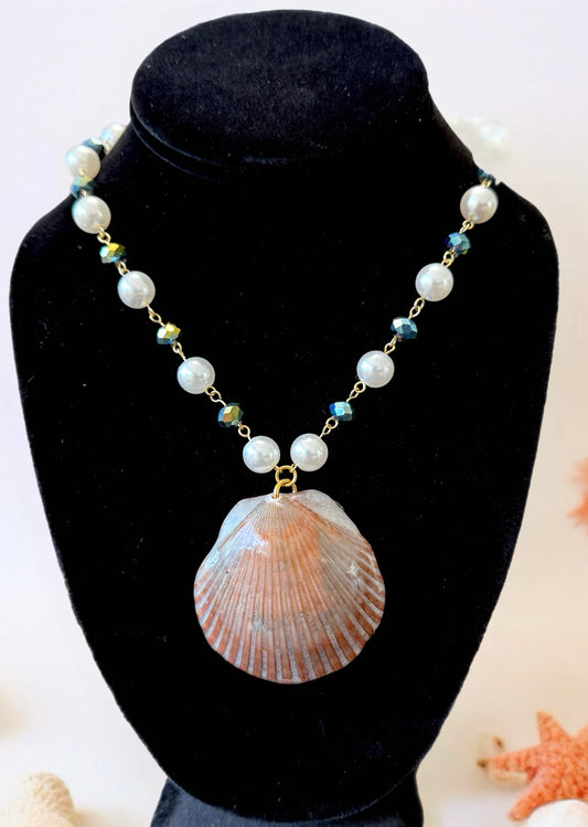 Iris-Shell