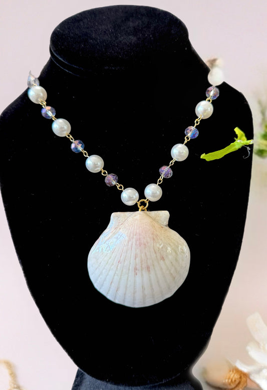 Lily Shell