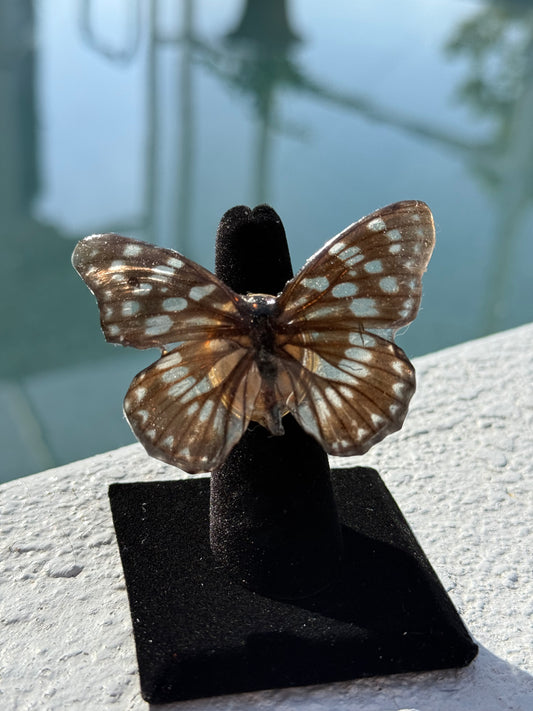 Butterfly Ring